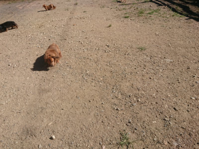 f:id:roukenhome-ann:20190808203925j:plain