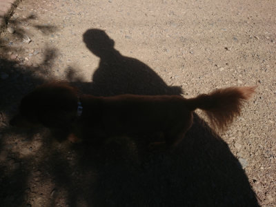 f:id:roukenhome-ann:20190808203942j:plain