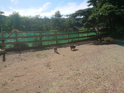 f:id:roukenhome-ann:20190808203948j:plain