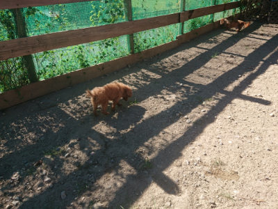 f:id:roukenhome-ann:20190808204027j:plain