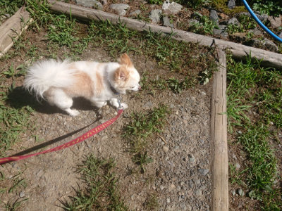 f:id:roukenhome-ann:20190808204103j:plain