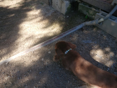 f:id:roukenhome-ann:20190808204153j:plain