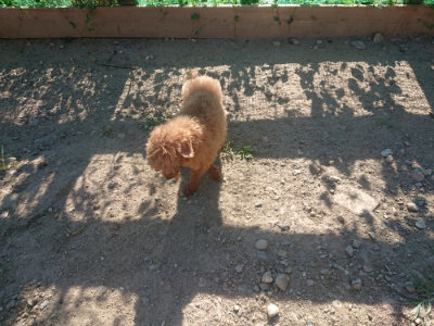 f:id:roukenhome-ann:20190808204251j:plain