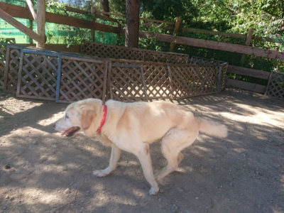 f:id:roukenhome-ann:20190808204256j:plain