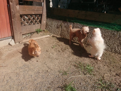 f:id:roukenhome-ann:20190808204927j:plain