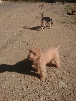 f:id:roukenhome-ann:20190808204948j:plain