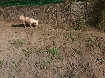 f:id:roukenhome-ann:20190808205018j:plain