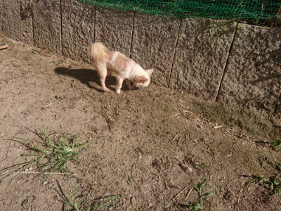 f:id:roukenhome-ann:20190808205026j:plain