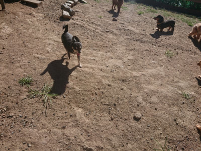 f:id:roukenhome-ann:20190808205123j:plain