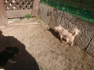 f:id:roukenhome-ann:20190808205134j:plain