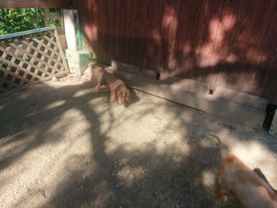 f:id:roukenhome-ann:20190808205153j:plain