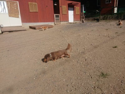 f:id:roukenhome-ann:20190808205218j:plain