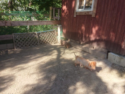 f:id:roukenhome-ann:20190808205227j:plain