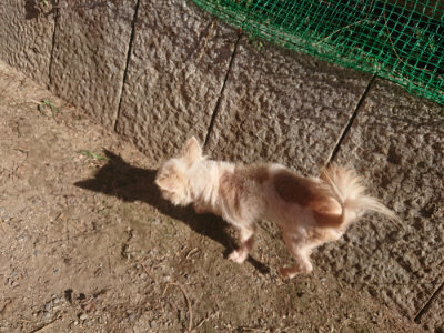 f:id:roukenhome-ann:20190808205243j:plain