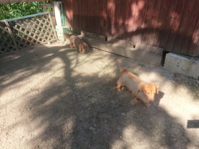f:id:roukenhome-ann:20190808205252j:plain