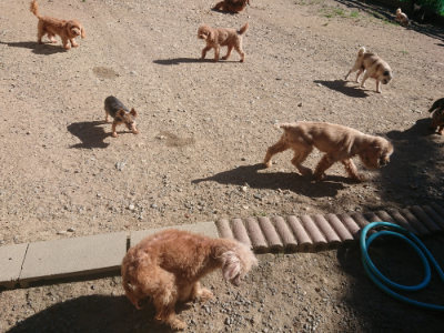 f:id:roukenhome-ann:20190808205311j:plain