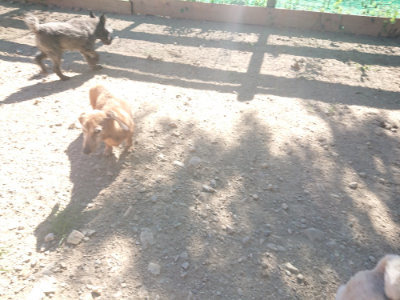 f:id:roukenhome-ann:20190808205329j:plain