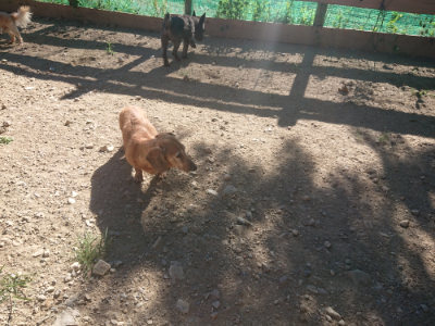 f:id:roukenhome-ann:20190808205335j:plain