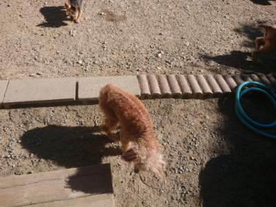 f:id:roukenhome-ann:20190808205343j:plain