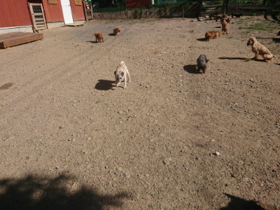 f:id:roukenhome-ann:20190808205351j:plain