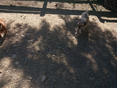 f:id:roukenhome-ann:20190808205357j:plain