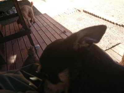 f:id:roukenhome-ann:20190808210032j:plain