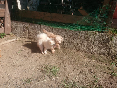 f:id:roukenhome-ann:20190808210126j:plain