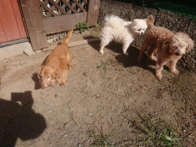 f:id:roukenhome-ann:20190808210142j:plain