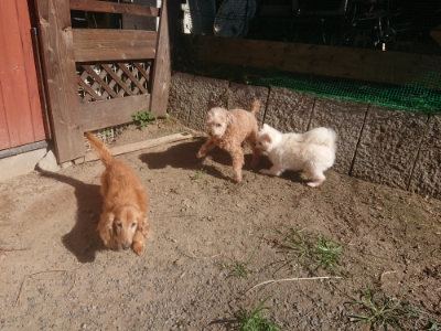 f:id:roukenhome-ann:20190808210236j:plain