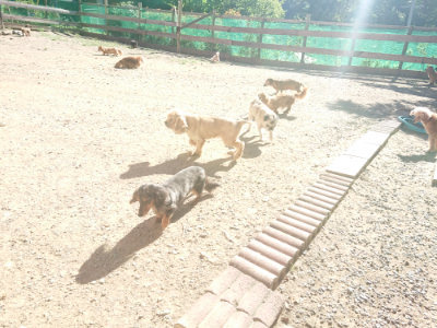f:id:roukenhome-ann:20190808210327j:plain