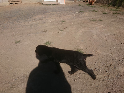 f:id:roukenhome-ann:20190808210354j:plain