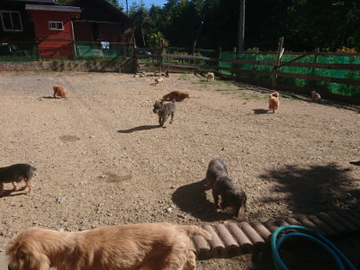 f:id:roukenhome-ann:20190808210409j:plain