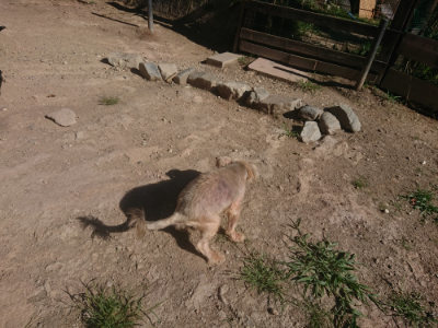 f:id:roukenhome-ann:20190808210415j:plain