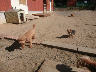 f:id:roukenhome-ann:20190808210505j:plain