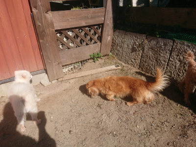 f:id:roukenhome-ann:20190808210553j:plain