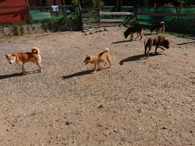 f:id:roukenhome-ann:20190808213021j:plain