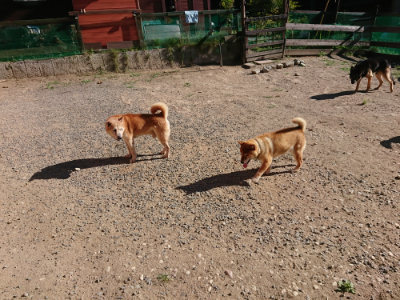 f:id:roukenhome-ann:20190808213027j:plain