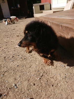 f:id:roukenhome-ann:20190808213319j:plain