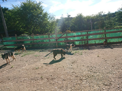 f:id:roukenhome-ann:20190808213416j:plain