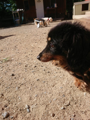 f:id:roukenhome-ann:20190808213424j:plain