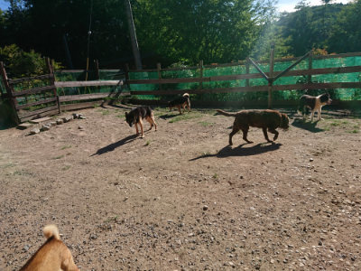f:id:roukenhome-ann:20190808213434j:plain