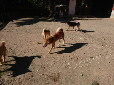 f:id:roukenhome-ann:20190808213443j:plain