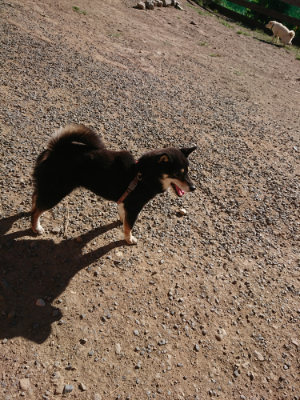 f:id:roukenhome-ann:20190808213452j:plain