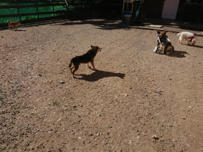 f:id:roukenhome-ann:20190808213512j:plain