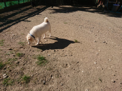 f:id:roukenhome-ann:20190808213527j:plain