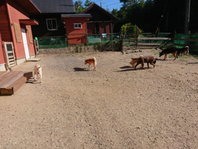f:id:roukenhome-ann:20190808213541j:plain