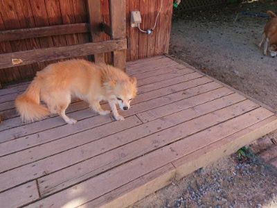 f:id:roukenhome-ann:20190808213557j:plain