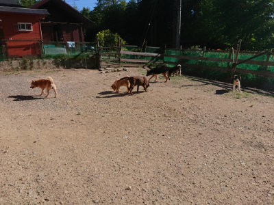 f:id:roukenhome-ann:20190808213607j:plain