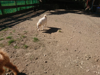 f:id:roukenhome-ann:20190808213624j:plain