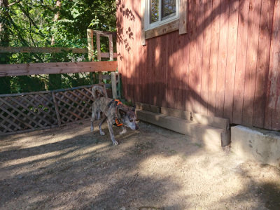 f:id:roukenhome-ann:20190808213938j:plain